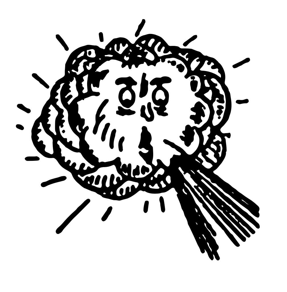 Forced Air Furnace Company